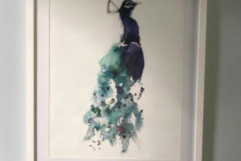 Blue Jay - Nambucca Heads Accommodation 5