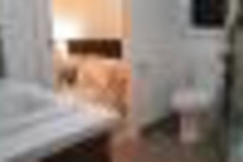 Tranquility - Nambucca Heads Accommodation 2