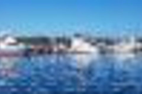 Tranquility - Nambucca Heads Accommodation 3