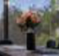 Burj Al Adelaide 6 br 18 guest stay in ADL CBD - Nambucca Heads Accommodation