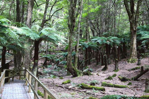Wallace Lodge - Nambucca Heads Accommodation 7