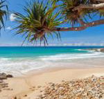 Coolum Classic Beach Shack Pet Friendly - Nambucca Heads Accommodation