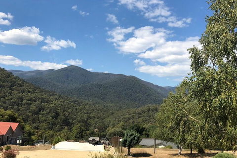 Alpine Stag Lodge Unit 2 - Nambucca Heads Accommodation 7