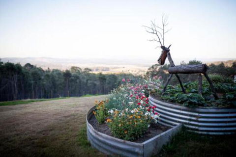 Fork N Farm Artisan Homestead - Nambucca Heads Accommodation 7