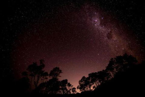 Fork N Farm Artisan Homestead - Nambucca Heads Accommodation 3