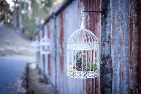 Fork N Farm Artisan Homestead - Nambucca Heads Accommodation 4