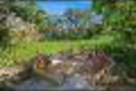 Superior Apartment - Nambucca Heads Accommodation 2