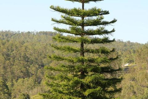 KooralBnB - Nambucca Heads Accommodation 3