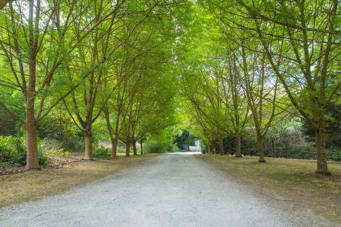In The Valley - Nambucca Heads Accommodation 6