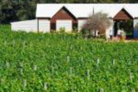 Upper Reach Spa Cottage - Nambucca Heads Accommodation 0