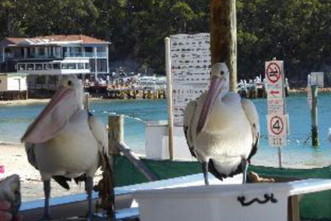2 Bedroom Apartment Portside Unit 12 / 1 Donald Street FREE WIFI - Nambucca Heads Accommodation 2