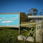 Lucky Bay SA Nambucca Heads Accommodation
