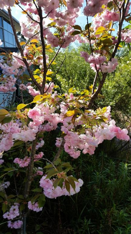 Beezneez B & B - Nambucca Heads Accommodation 5