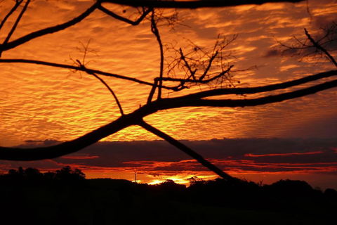 Cedarview Bed & Breakfast - Nambucca Heads Accommodation 5