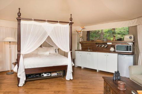 Clouds Safari - Nambucca Heads Accommodation 4