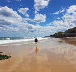 Arena Luxury Beachfront Apartment - Nambucca Heads Accommodation