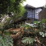 SerenityatMontville - Nambucca Heads Accommodation 0