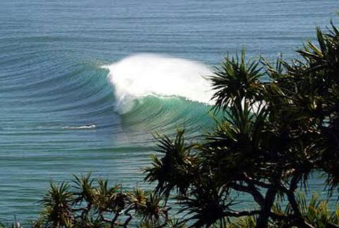 Cabarita Studio - Nambucca Heads Accommodation 0
