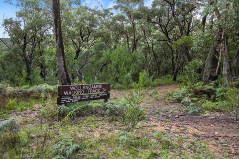 THE TEACHERS COTTAGE - Nambucca Heads Accommodation 5