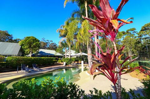 Palms Studio Apartment At Raffetys Resort - Nambucca Heads Accommodation 6