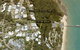 Castaways Palm Cove - thumb 6