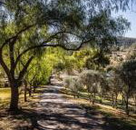 Capers Guesthouse Barn  Cottage - Nambucca Heads Accommodation