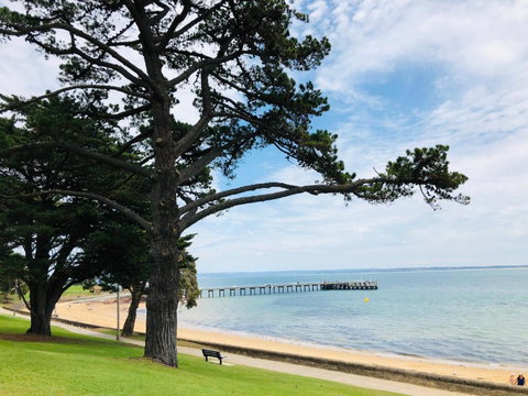 FAMILY ISLAND GETAWAY BEACHFRONT APARTMENT - Nambucca Heads Accommodation 3