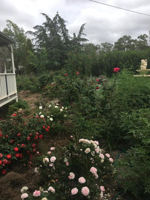 Saboâ€™s On Severn - Nambucca Heads Accommodation 3