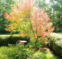 Acacia House Retreat Daylesford - Nambucca Heads Accommodation