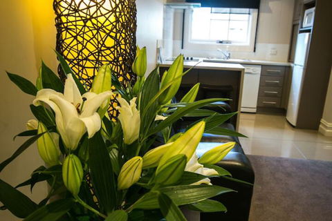 Gallery Apartments - Nambucca Heads Accommodation 6