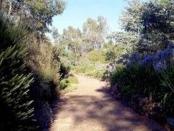 Kooringal Homestead - Nambucca Heads Accommodation 0