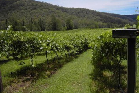 Cedar Creek Cottages - Nambucca Heads Accommodation 2