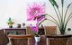 4 Ensuite Chelsea Villa CBD Airport - thumb 2