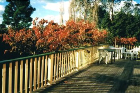 Heronswood House B & B - Nambucca Heads Accommodation 7