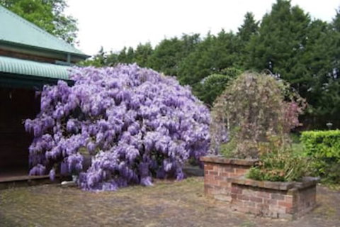 Heronswood House B & B - Nambucca Heads Accommodation 2