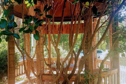 Adamsons Riverside Accommodation - Nambucca Heads Accommodation 1