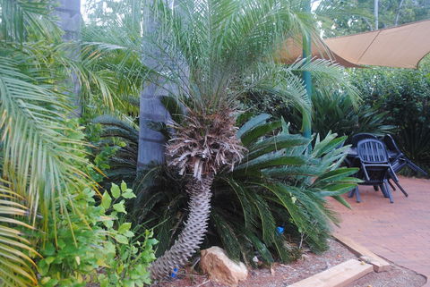Kingaroy Holiday Park - Nambucca Heads Accommodation 1