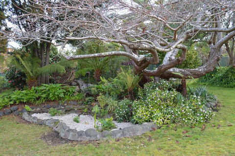 Smugglers Rest Apartments Dover - Nambucca Heads Accommodation 4