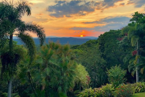 Daintree Manor Bed & Breakfast - Nambucca Heads Accommodation 0