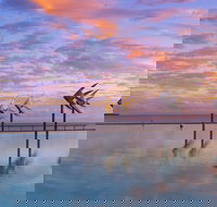 Global Backpackers Cairns - Nambucca Heads Accommodation