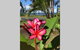 Mission Possible - thumb 6