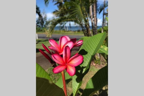 Mission Possible - Nambucca Heads Accommodation 6