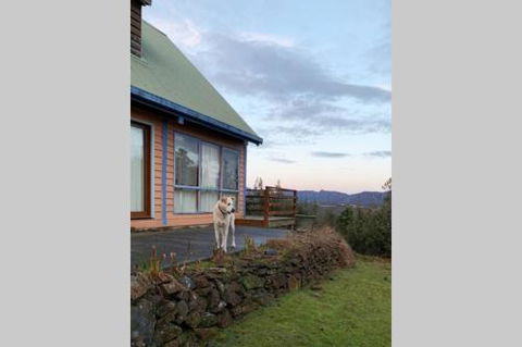 Wind Song Mountain Retreat - Nambucca Heads Accommodation 2