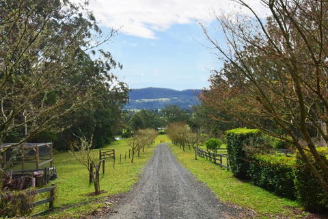Maple Cottage - Nambucca Heads Accommodation 6
