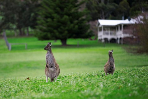 Barn Hives Yallingup - Nambucca Heads Accommodation 4