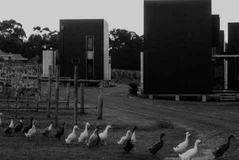 Barn Hives Yallingup - Nambucca Heads Accommodation 1