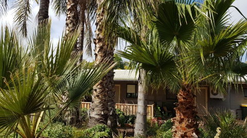 Red Ochre â€“ Large 1BR With Private Courtyard - Nambucca Heads Accommodation 3