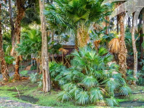 Araluen - Nambucca Heads Accommodation 6