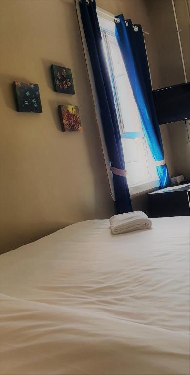 Shamrock Hotel Greenbushes - Nambucca Heads Accommodation 2