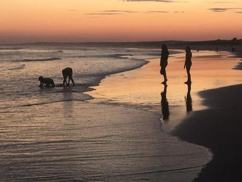 Cromarty Cottage 900m From Birubi Beach - Nambucca Heads Accommodation 6
